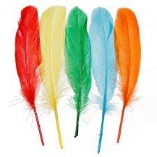 Plumes de couleurs