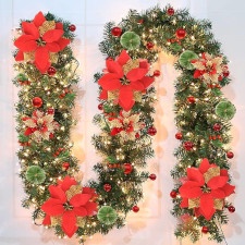 Fleurs de Noël