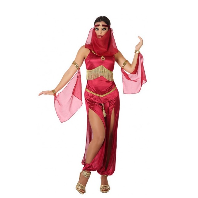 Costume de danseuse orientale pour femmes par 24,00 €