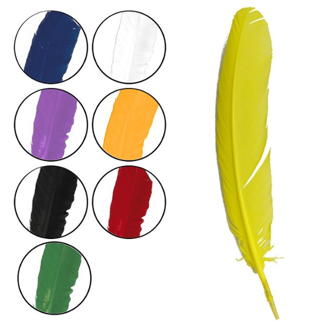 Vista frontal del plumes synthétiques colorées 30 cm - 10 pcs. en stock