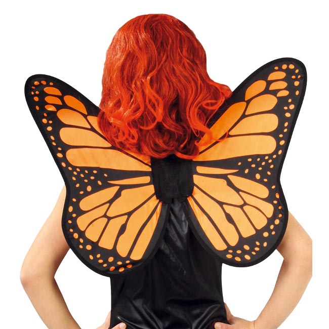 Vista frontal del ailes de papillon orange et noir - 49 x 50 cm en stock