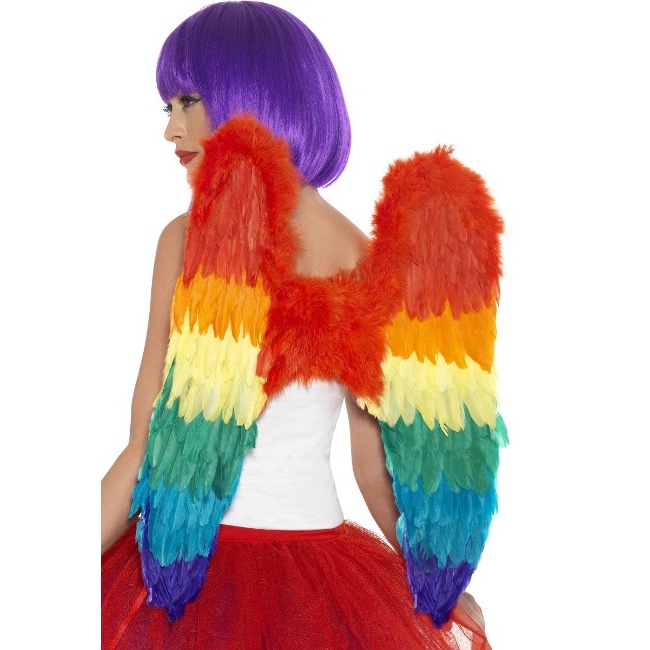 Foto detallada de ailes de plumes multicolores - 60 x 60 cm