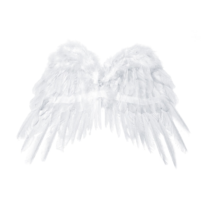 Vista principal del ailes en plumes blanches pour enfants - 53 X 37 cm en stock