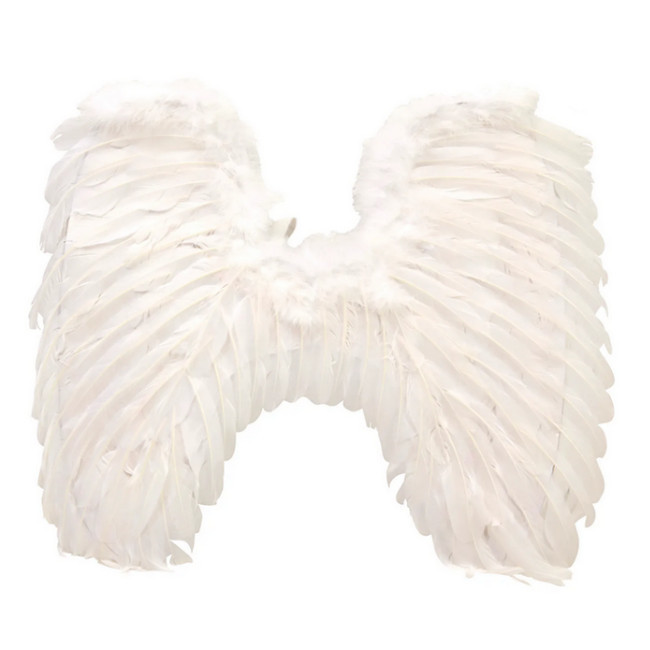 Vista frontal del ailes à plumes blanches en stock