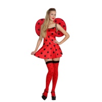 Déguisement de coccinelle