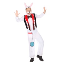 Costume d'Alice le lapin pour enfants
