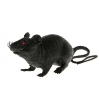 Rat noir - 9 x 22 cm