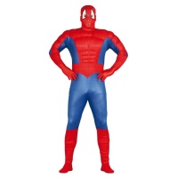 Costume de super-héros araignée pour adultes