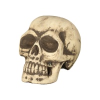 Crâne décoratif 34 cm