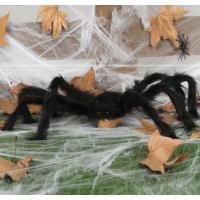 Araignée noire - 70 cm