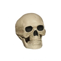 Crâne décoratif 20 cm