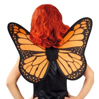 Ailes de papillon orange et noir - 49 x 50 cm