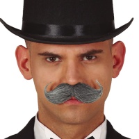 Moustache large à poils gris avec des pointes