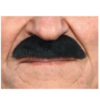 Moustache noire moyenne