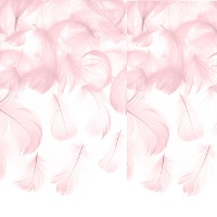 Plumes décoratives - 3 g