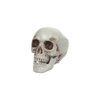 Crâne décoratif 8 cm