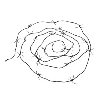 Fil barbelé - 5,20 m