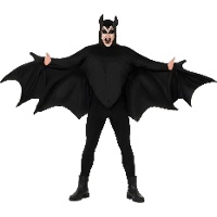 Costume de chauve-souris sombre pour adulte
