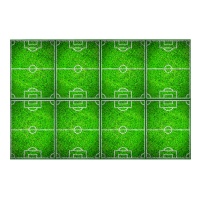 Nappe de terrain de football - 1,20 x 1,80 m