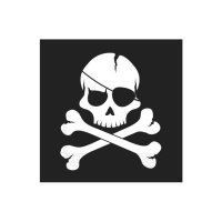 Serviettes de table drapeau pirate 16,5 x 16,5 cm - 20 pcs.