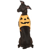 Costume de chien en forme de citrouille