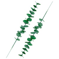 Brins de feuilles d'eucalyptus - 2 pcs.