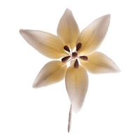 Figurines en sucre orchidées blanches 8 cm - Dekora - 20 pcs.