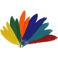 Plumes naturelles colorées de 2,5 x 14 cm - 60 unités