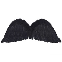 Ailes en plumes noires - 75 x 30 cm
