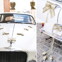 Kit de décoration de voiture de mariage naturel