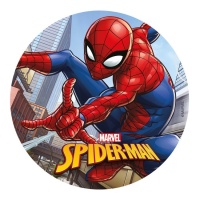 Disque azyme Spiderman - 20 cm