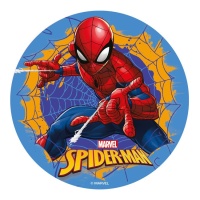 Dsque azymei Spiderman 20 cm