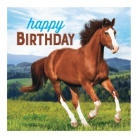 Serviettes de table Happy Birthday Horse 16,5 x 16,5 cm - 16 pcs.