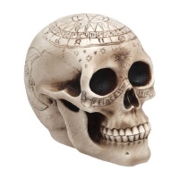 Crâne décoratif 14 x 20 x 14 cm