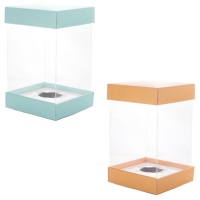 Boîte à oeufs de Pâques transparente 22 cm - Pastkolor - 1 pièce