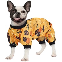 Costume de chien en forme de citrouille