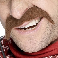 Moustache marron en fer à cheval