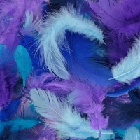 Plumes décoratives de couleurs assorties de 10 g