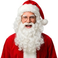 Perruque et barbe de Père Noël de 250 g