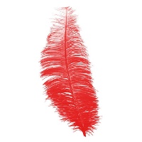 Plumes de Charleston de 30 cm - 12 unités