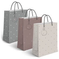 Sac cadeau en papier Basics 23 x 18 x 10 cm - 1 pc.