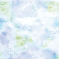 Tissu en jersey de coton Tie Dye Green - Katia