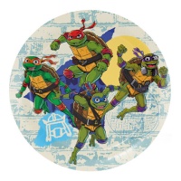 18 cm Assiettes Tortues Ninja - 8 pcs.