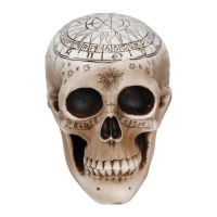 Crâne décoratif avec symboles - 20 cm