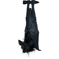 Chauve-souris suspendue de 50 cm