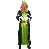 Costume de Roi Mage vert pour adulte
