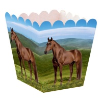 Boîte à chevaux basse - 12 pièces