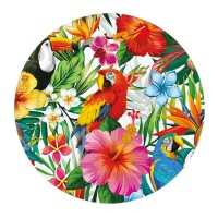 Assiettes paysages tropicaux 23 cm - 6 pcs.