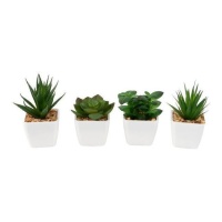 Plante cactus artificielle avec pot blanc assorti 10 cm