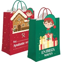 Sac cadeau Elfe 32 x 26 x 10 cm - 1 unité